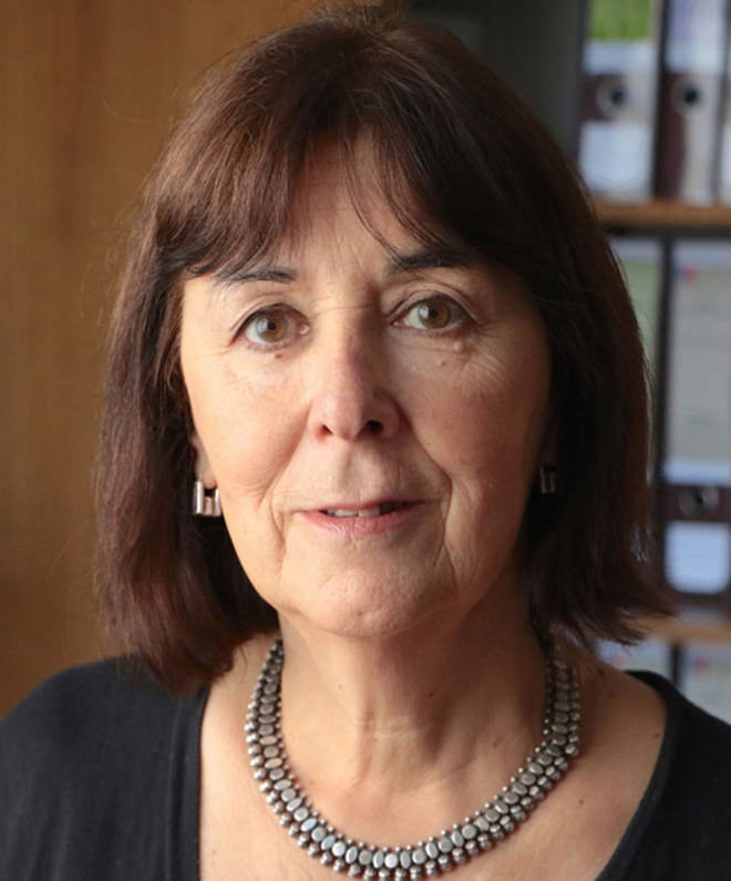 María Soledad Larraín Heiremans